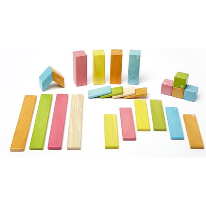 Tegu Magnetic Wooden Block Set Tints