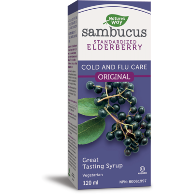 Nature's Way Sambucus Original Cold & Flu Care Syrup