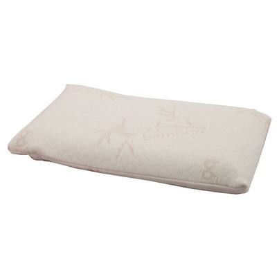 Babyworks Baby's 1st Pillow With Bamboo Pillow Case