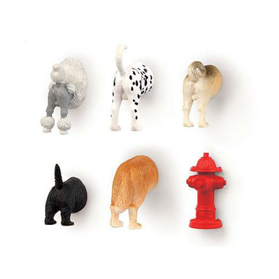 Kikkerland Magnets Dog Butts