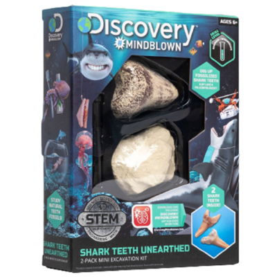 Discovery Kids Excavation Kit Mini Shark Tooth