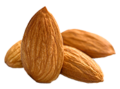 Buy Almond and Jojoba Oils