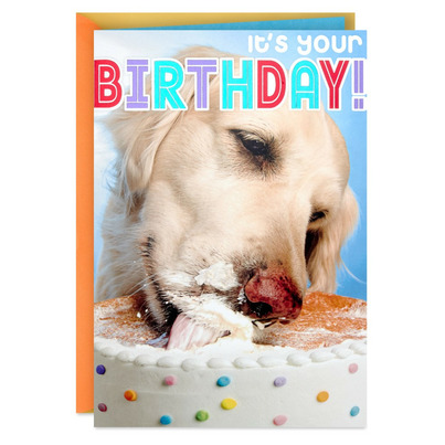 Hallmark Birthday Card Dog Eating Birthday Cake