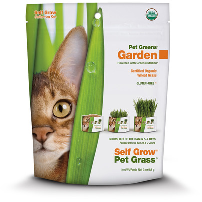 Pet Greens Wheat Grass Self Grow Kit