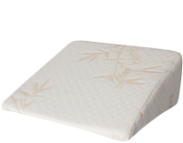 Shop Pregnancy Pillows