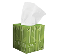 Shop Paper Products