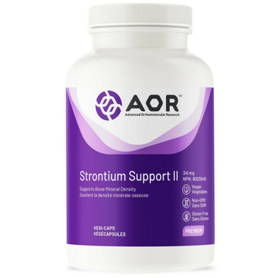 AOR Strontium Support II Bone Support