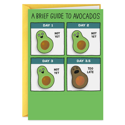 Hallmark Shoebox Funny Birthday Card Guide To Avocados