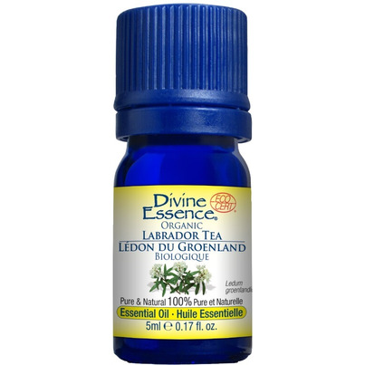 Divine Essence Organic Labrador Tea Essential Oil
