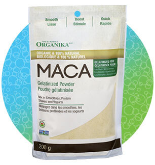 Organika poudre de maca gélatinisée