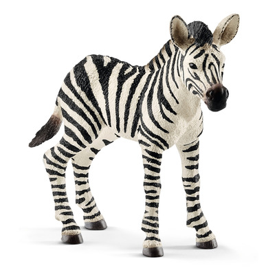 schleich Zebra Foal