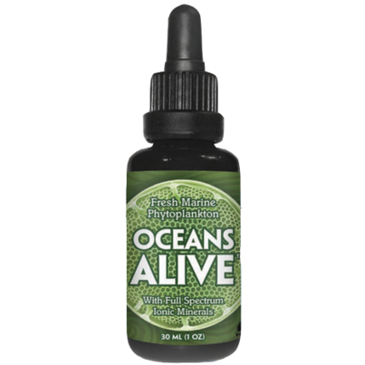 Activation Oceans Alive Fresh Marine Phytoplankton