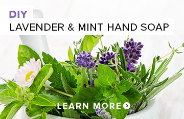 DIY HAND SOAP WITH LAVENDER & MINT ESSENTIAL OIL