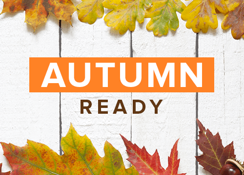 Autumn Ready | Fall Beauty