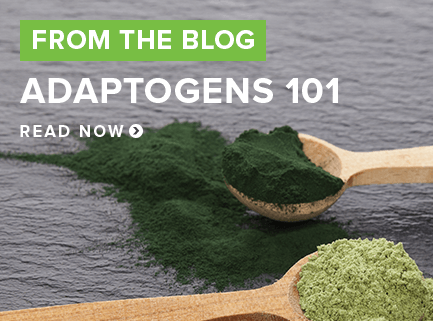 Adaptogens 101