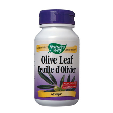 research papers olive leaf extract research papers olive leaf extract