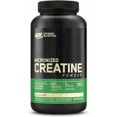 Optimum Nutrition Micronized Creatine