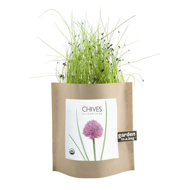 Buy Potting Shed Creations Chives Garden-in-a-Bag at Well 