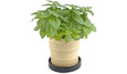 Outdoor & Gardening Outdoor & Gardening