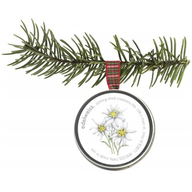 Buy Potting Shed Creations Edelweiss Sprinkle Ornament at ...