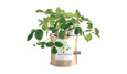 Outdoor & Gardening Outdoor & Gardening